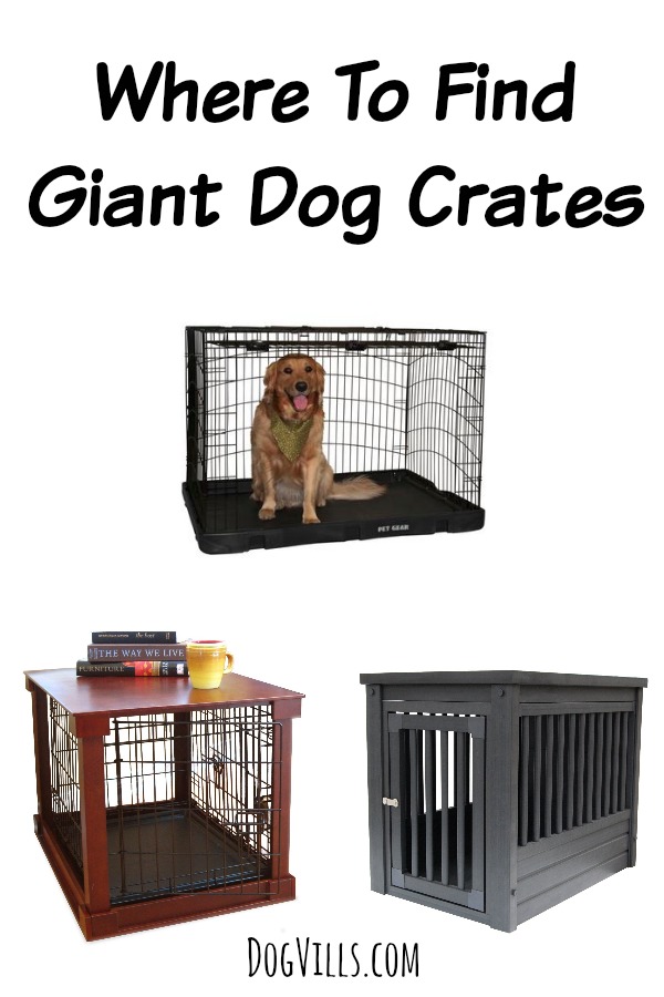 If you have chosen a larger breed dog, you may not know where to begin in the search of Where To Find Giant Dog Crates.  Most stores carry only smaller versions, but we are here to direct you to some of the best places to find top quality large or giant dog crates.