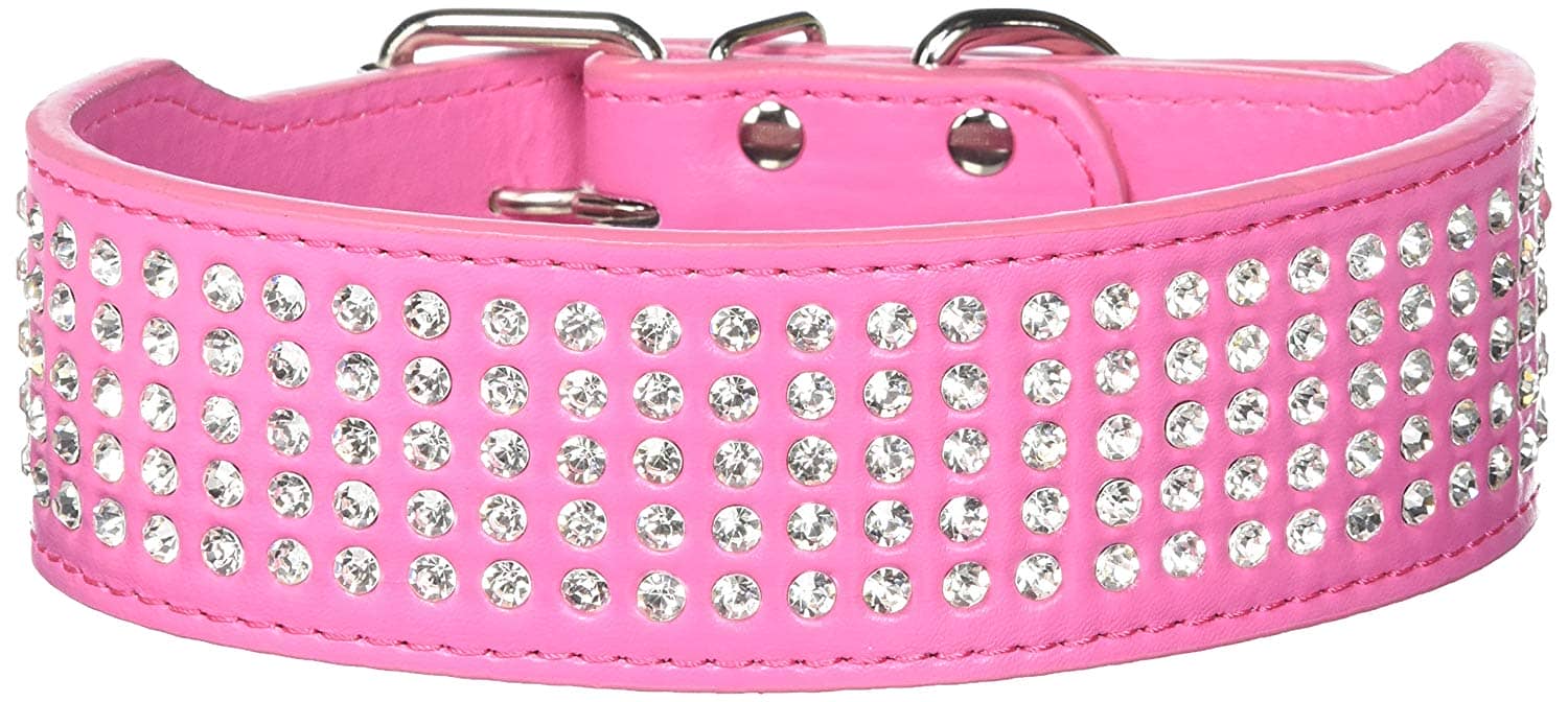 5 Best Dog Collars For Large Dogs DogVills