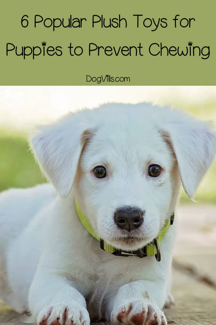 Popular Plush Toys For Puppies to Prevent Chewing