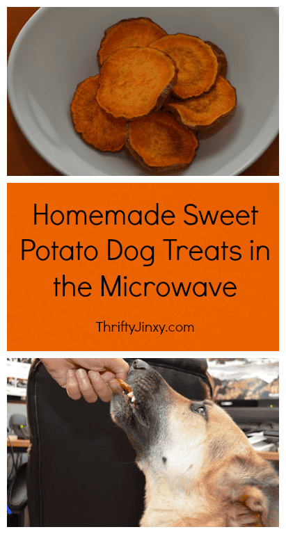 Homemade-Sweet-Potato-Dog-Treats Easy & Delicious Homemade Dog Treat Recipes