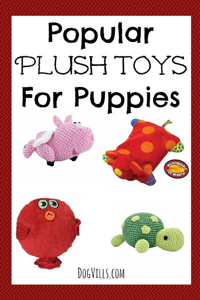 Popular Plush Toys For Puppies to Prevent Chewing