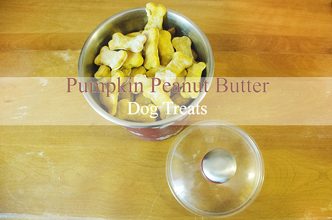 Pumpkin peanut butter dog treats Easy & Delicious Homemade Dog Treat Recipes