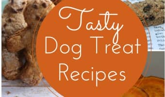 Looking for Easy & Delicious Homemade Dog Treat Recipes so you can whip up some tasty morsels for your canine companion? We've got you covered !