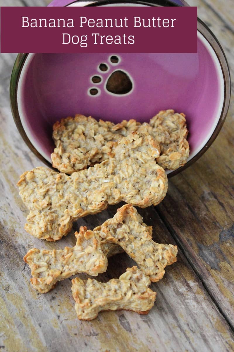 Peanut Butter Banana Dog Treats Recipe - Dog Vills