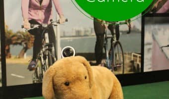 Take your outdoor pet activities to a whole new level with the Exilim FR10 dog camera, a unique remote photo experience that lets you see what Fido sees!