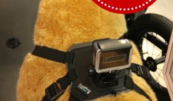 Capture your dog's every wild adventure with the GoPro Fetch Dog Harness, a unique mount that lets you strap your GoPro camera right to your pooch!