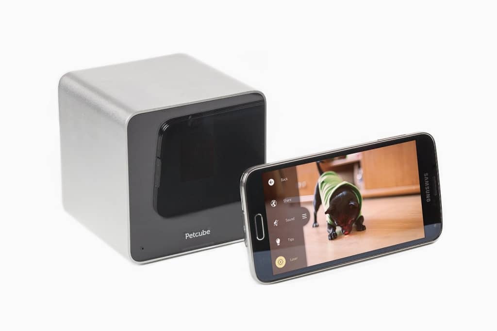 Ever wonder what your dog does when you're away? Now you can find out with Petcube camera! Plus, interact with your dog from anywhere! So cool!