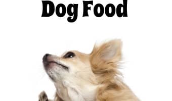 These Reasons To Buy Sensitive Skin Dog Food provide information on the many reasons your dog may be uncomfortable in its own skin