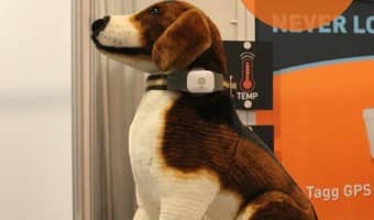Worried about loosing Fido? Wondering if he's getting enough exercise? With TAGG Pet Tracker, you can track his location and see his daily activity!