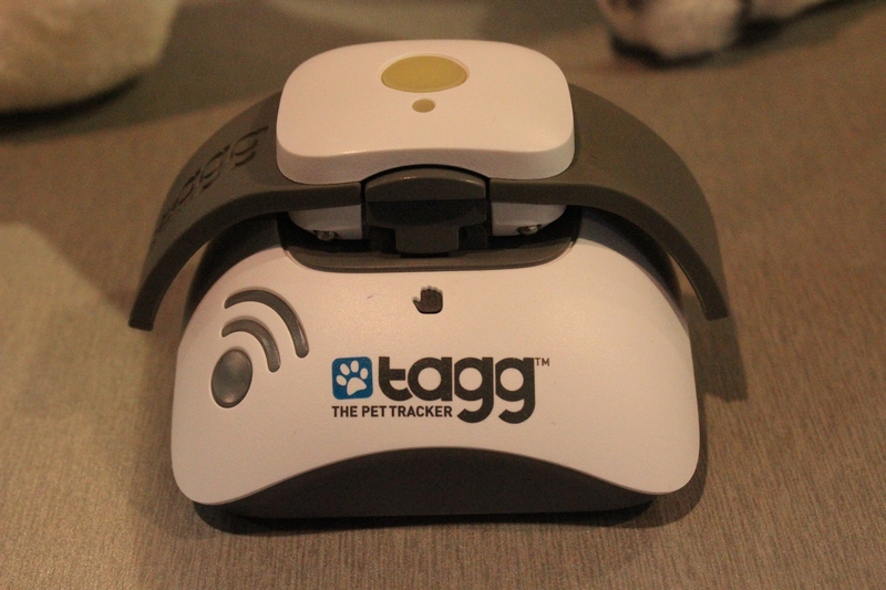 Worried about loosing Fido? Wondering if he's getting enough exercise? With TAGG Pet Tracker, you can track his location and see his daily activity!