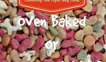 Which is a better dog food for your pet- oven baked or extruded kibble? Learn the difference between the two main types of dog food kibbles & decide!