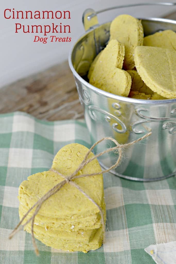 Heart-Shaped Cinnamon Pumpkin Dog Treat Recipe