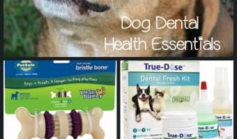 We're sharing some products to make at-home dog's dental health care a bit easier! Everything from toothbrushes to toys to keep Spot's smile in shape!