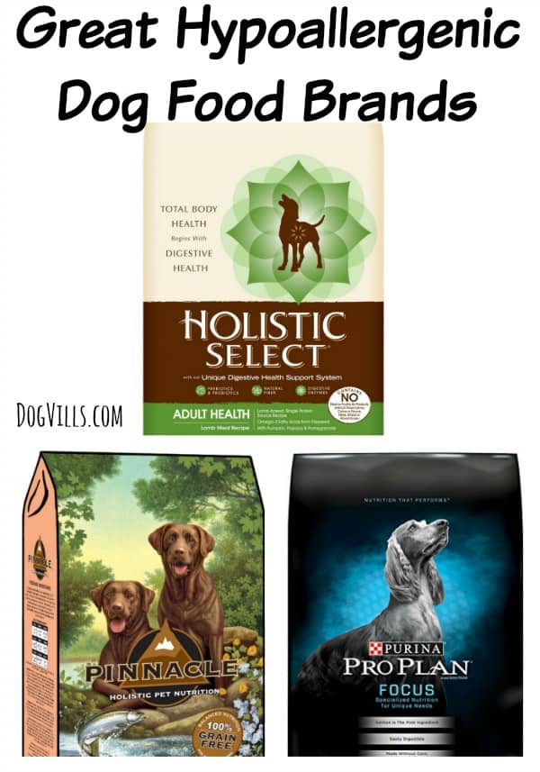 Whether your dog has skin irritations or allergies that cause upset tummies, these top Hypoallergenic Dog Food Brands will be a hit in their food dish.