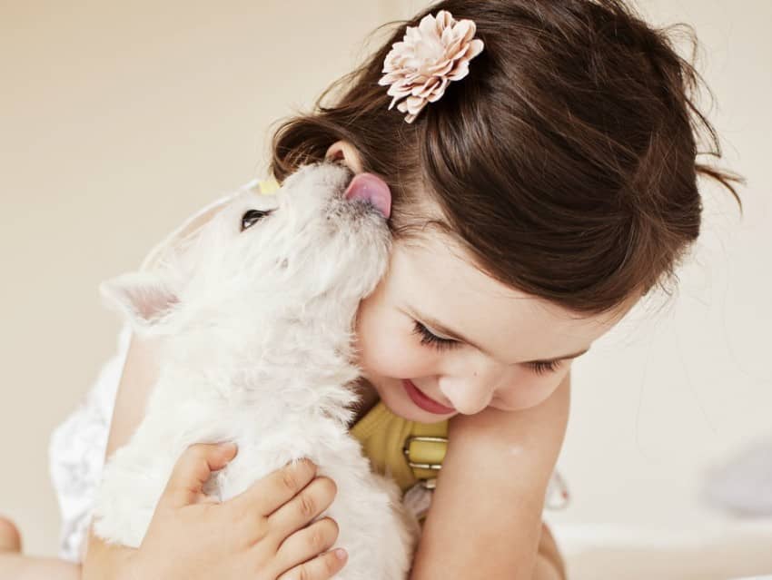 introducing a new dog to your kids