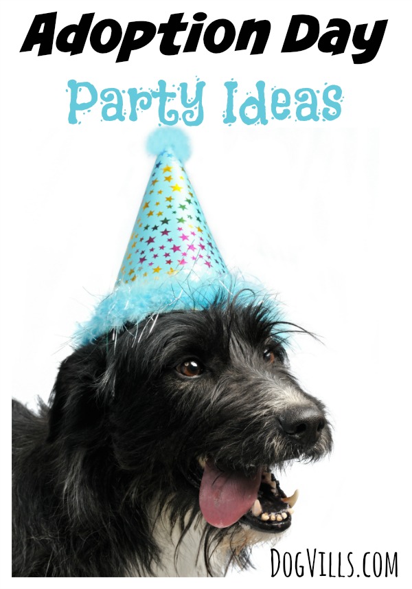 Want to celebrate the arrival of your new family friend in style? Check out these fun dog adoption day party ideas to give your canine a grand welcome!