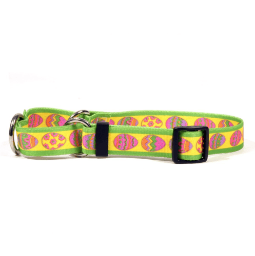 Dog Easter Basket Gift Items: Collar