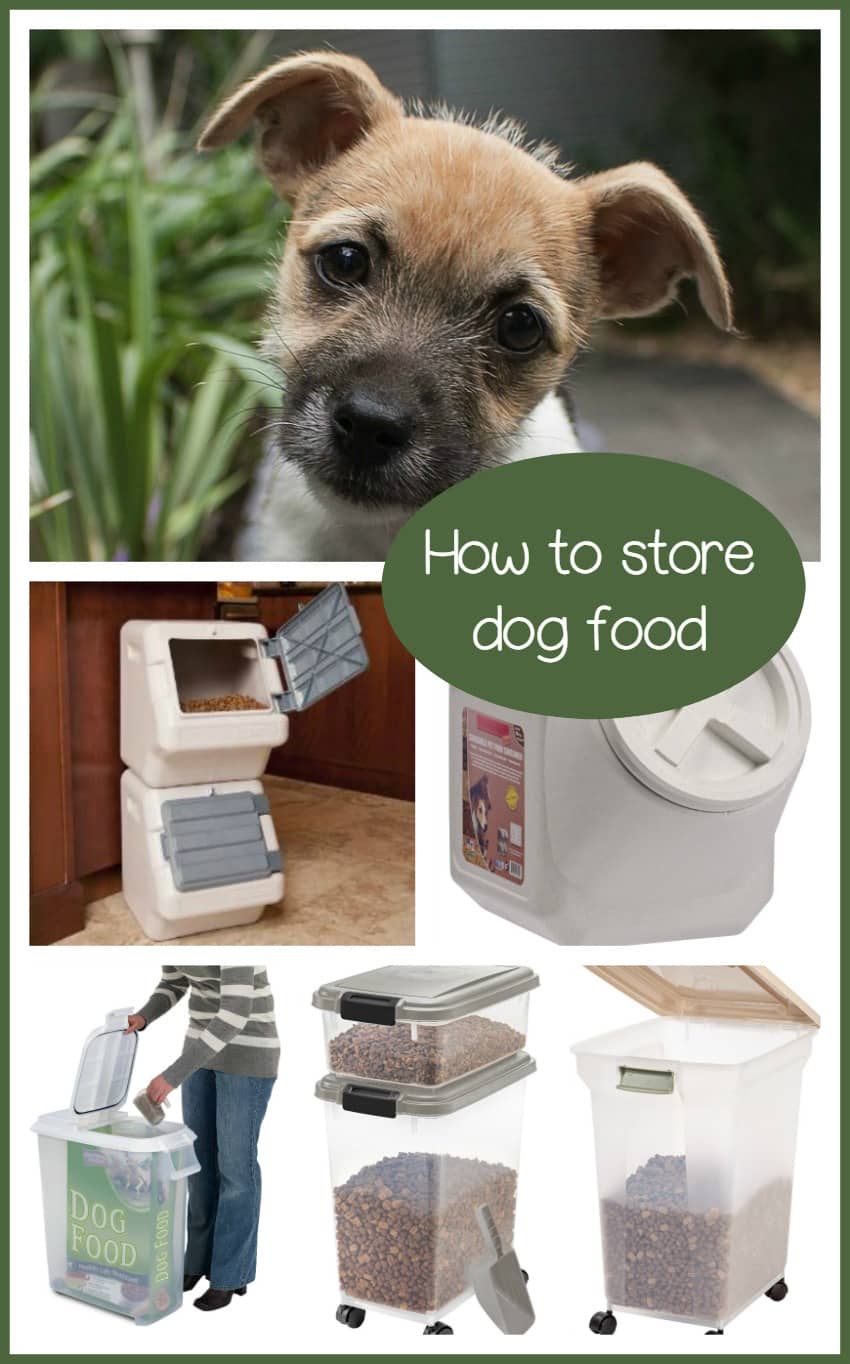 my dog ate stuffing food