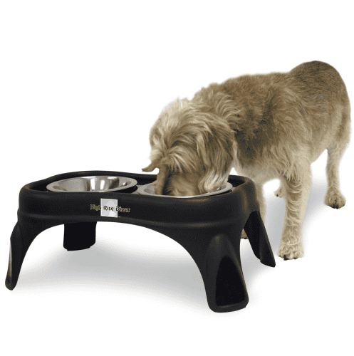 Right Height Cafe Feeder: Dog Easter Basket Gift Items