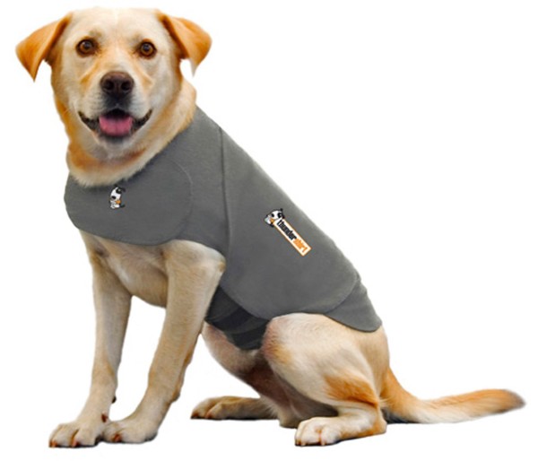 Does The ThunderShirt Really Alleviate Anxiety In Dogs?