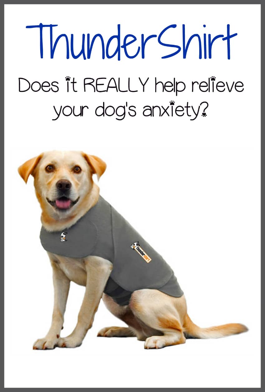 thundershirt humans