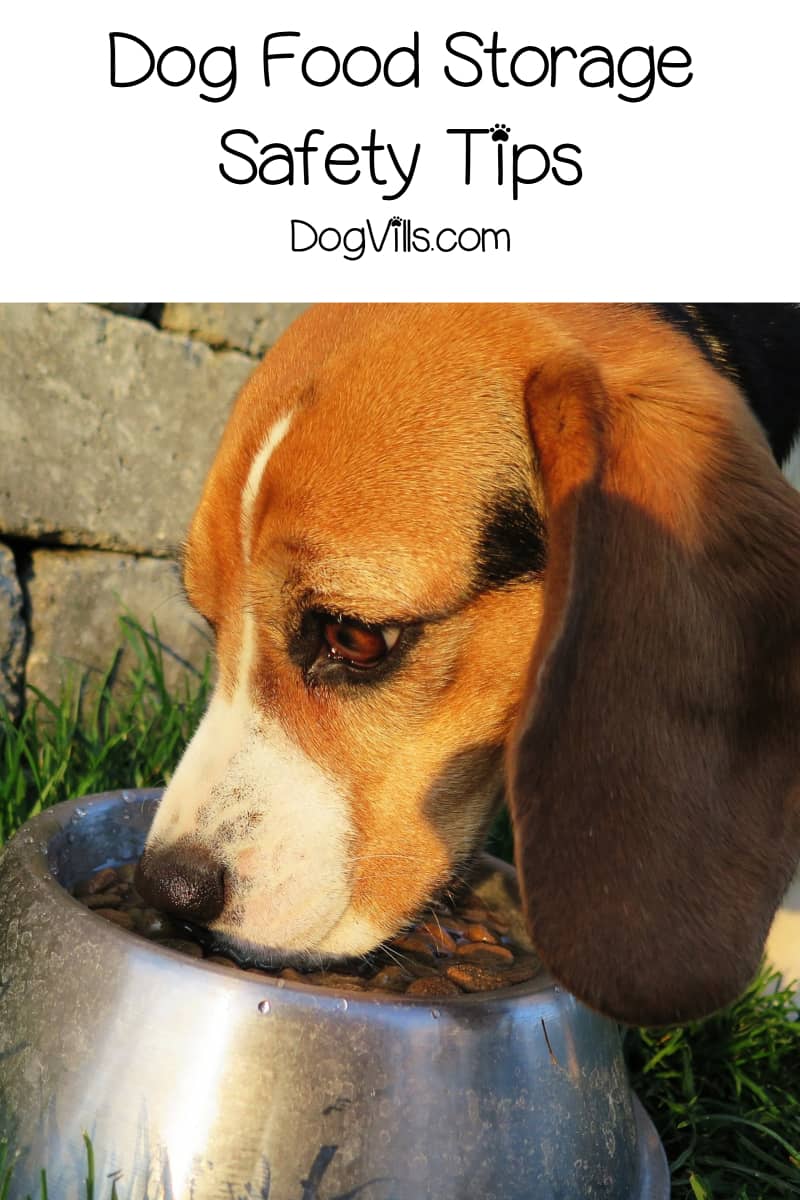 Dog Food Storage Safety Tips Dog Vills