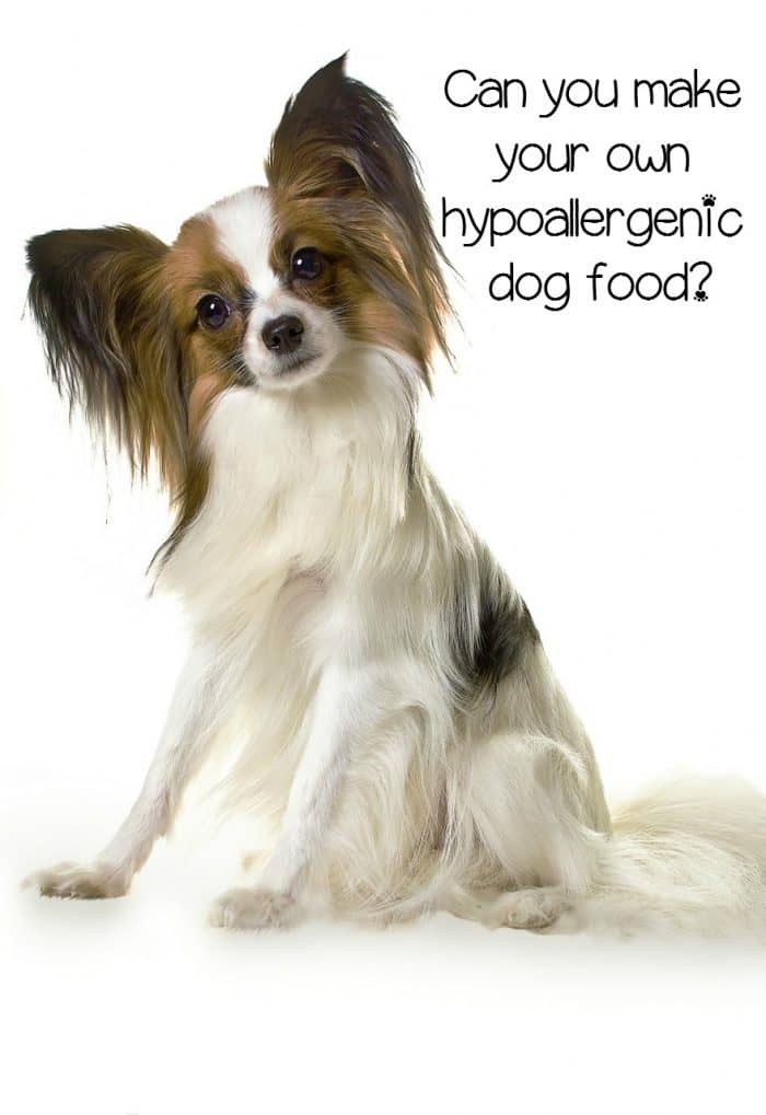Hypoallergenic Dog Food Can it be Made at Home?