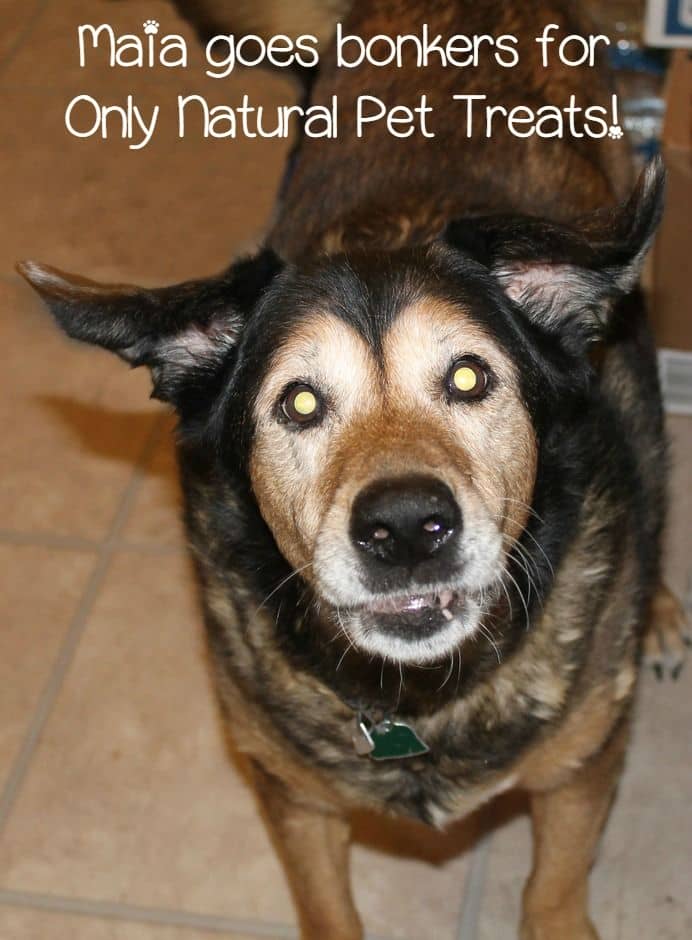 Only Natural Pets Natural Treats Dogs Love