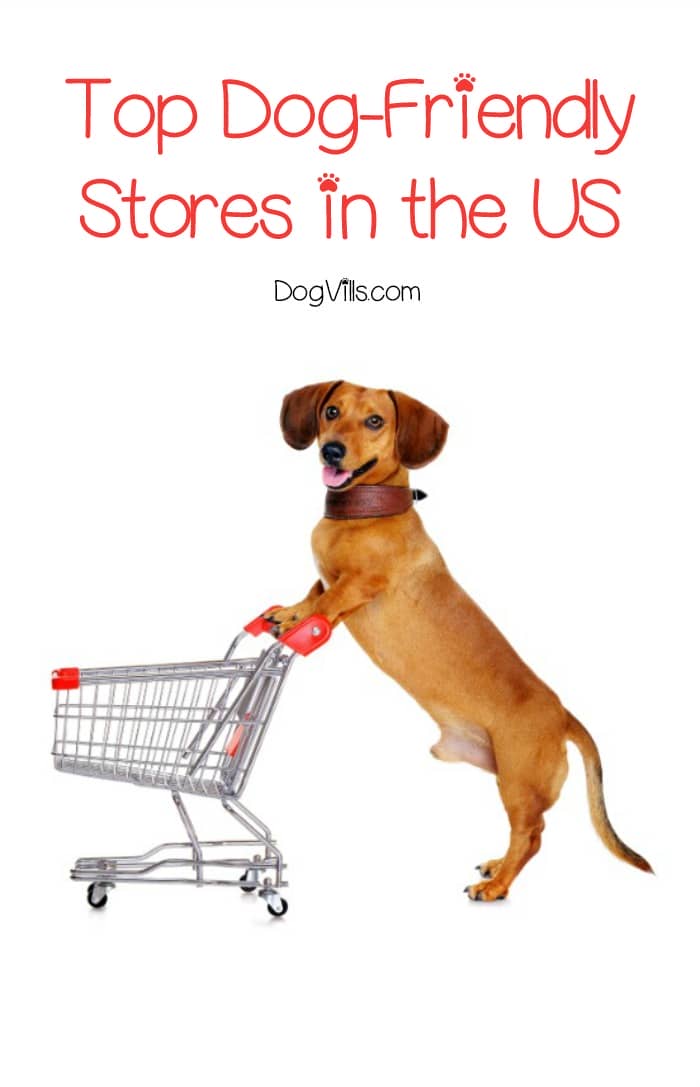 Major Stores That Allow Dogs In The US (Extensive List)