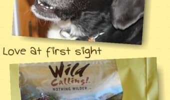 Looking for a dog food with a real story behind it? Check out Wild Calling! and see how they've mastered The Art of Nutrition. It's love at first sight!