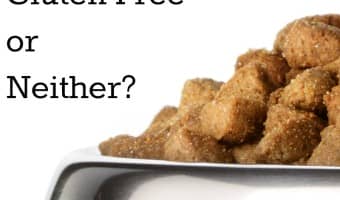 Grain-free, gluten-free, organic, oh my! With all the choices in dog food, it's hard to know which high quality kibble to feed your pup. Check out our tips!