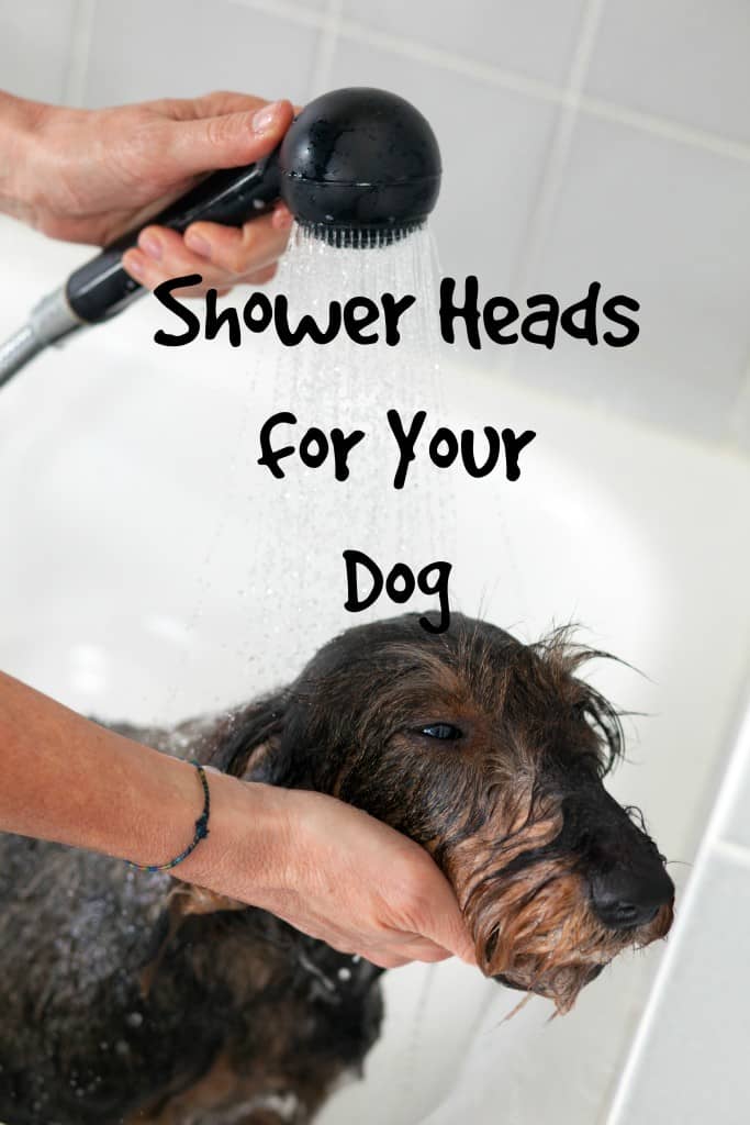 Take the chore out of bathing Fido by installing one of these best shower heads for your dog! We'll give you the rundown on the most popular models.