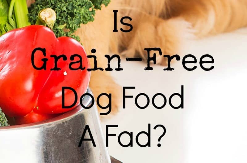Is Grainfree Dog Food A Fad? DogVills