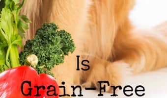 Grain-free dog food is all the rage, but is it just a passing fad or is it REALLY better for your dog? Check out our thoughts on grain-free & decide.