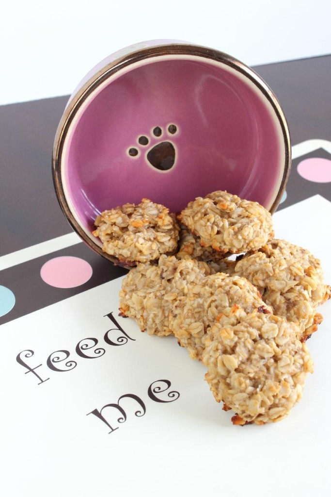 Need a yummy hypoallergenic dog treat recipe that's easy enough for novice bakers to make? Try out banana oatmeal treats! Your pups will love them!