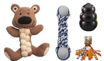 Does your pitty keep destroying all his toys within minutes? You need better toys! Check out these 10 strongest toys for pitbull puppies! No guarantees that they'll last forever, but at least they'll slow him down!