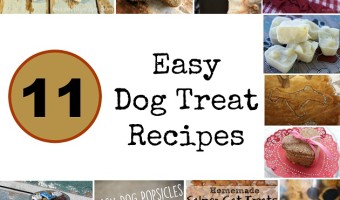 Looking for super easy homemade dog treat recipes that your canine companion will love? Try these 11 tasty treats, all using simple ingredients! Which is your favorite?