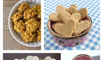 Looking for amazing hypoallergenic dog treat recipes for your pooch? How about four of our favorites? Try these out and your dog will be thrilled!