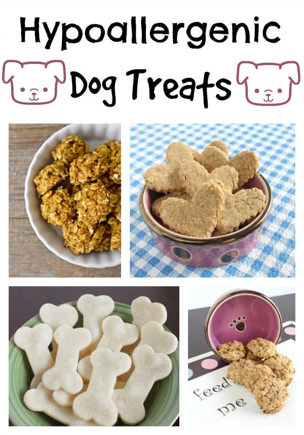 Hypoallergenic Dog Training Treats