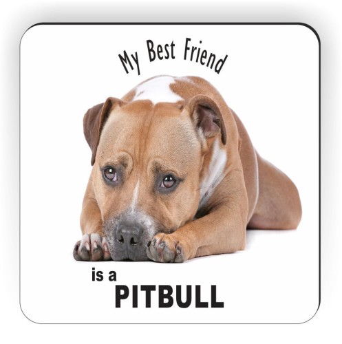 Pitbull Best Friend Magnet  Father's Day Gifts From Your Pitbull Puppy