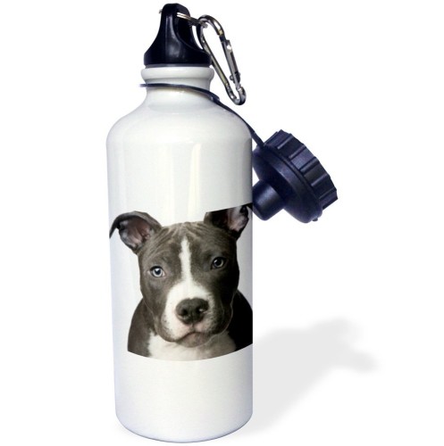 Pitbull Water Bottle  Father's Day Gifts From Your Pitbull Puppy