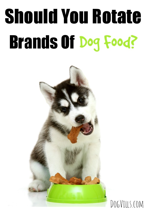 Should you rotate brands of dog food to give your dog more of a variety? What about those times you need to do it to save money? Learn more about rotating your dog food in the best way for your dog.