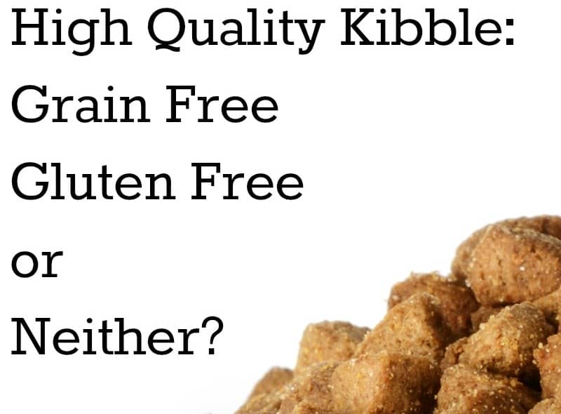 Best Grain Free Fish Based Dog Food Best Grain Free Fish Based Dog Food