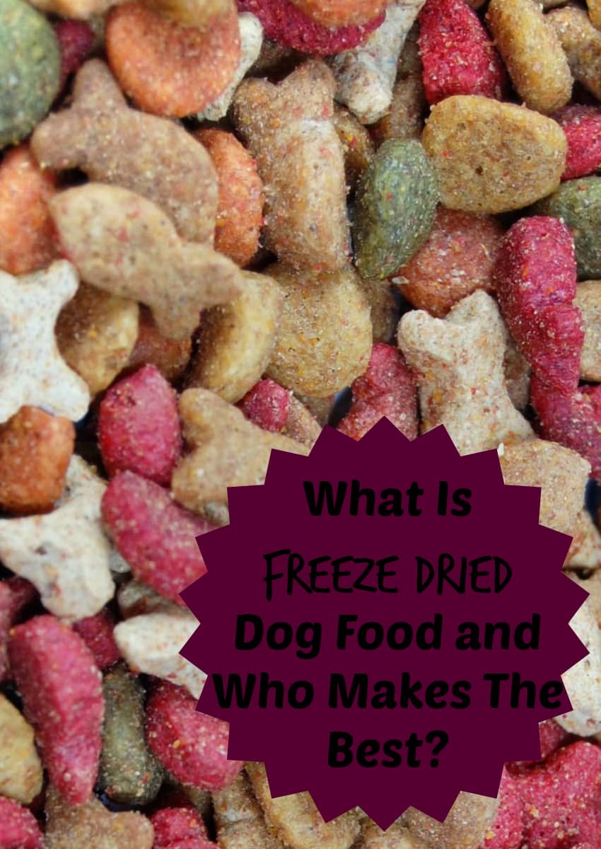 What Is Freeze Dried Dog Food and Who Makes The Best?