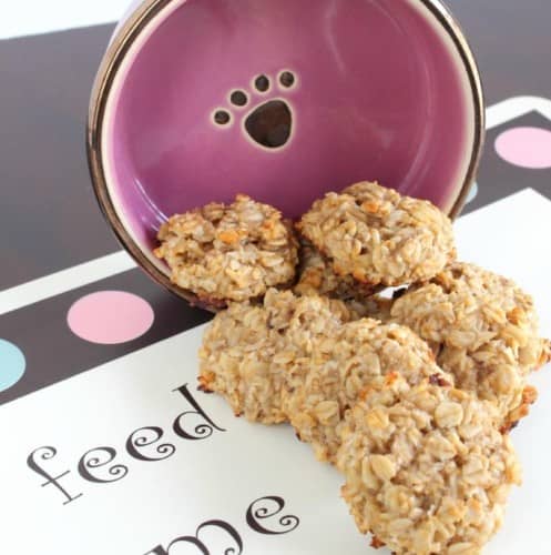 Banana Oatmeal Hypoallergenic Dog Treats Recipes