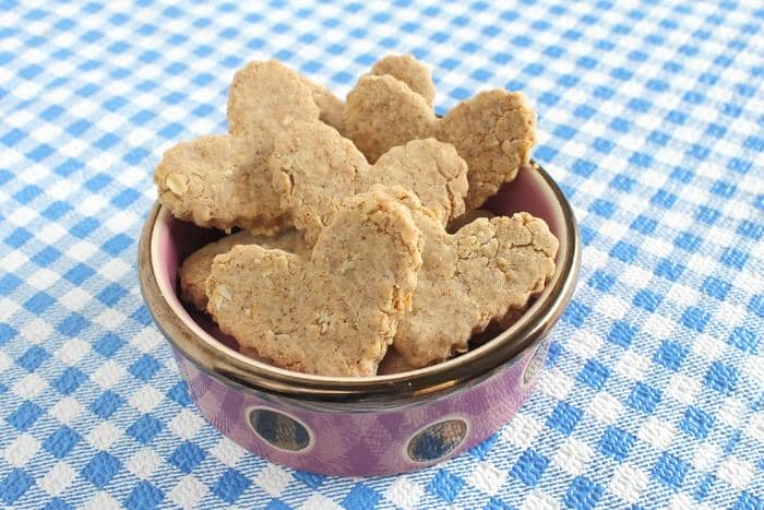 Looking for an easy hypoallergenic dog treat recipe that Spot will gobble up? Try our almond oatmeal cookies! Plus learn more about allergies in dogs!