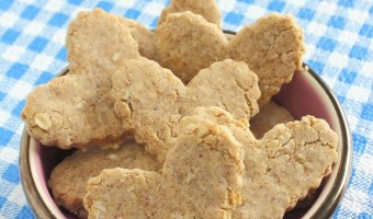 Looking for an easy hypoallergenic dog treat recipe that Spot will gobble up? Try our almond oatmeal cookies! Plus learn more about allergies in dogs!