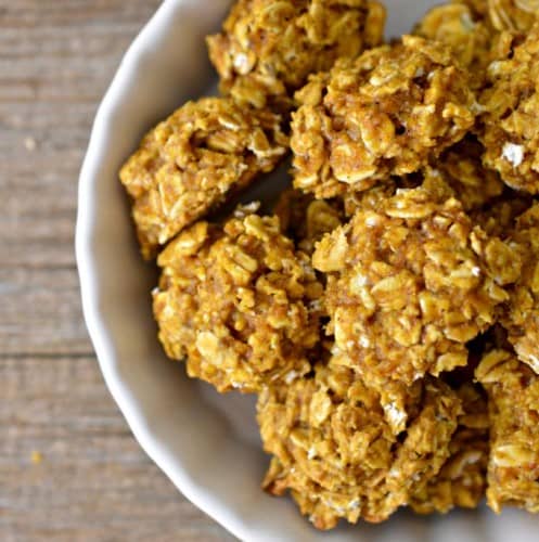 Pumpkin Oat Hypoallergenic Dog Treats