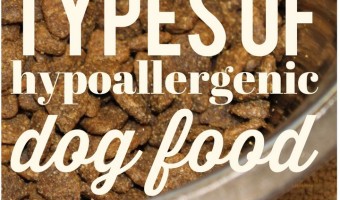 There are many hypoallergenic dog food companies out there. The variety is vast, but the basic types of hypoallergenic dog food are the same.