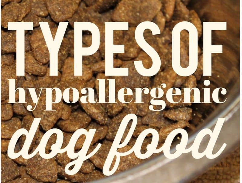Basic Types of Hypoallergenic Dog Food